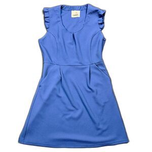Anthropologie Tabitha Blue Dress with Pockets 12